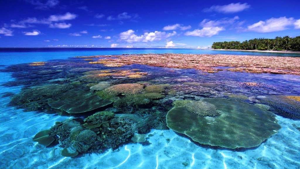 photo marshall-islas_zpsvy8dumtc.jpg