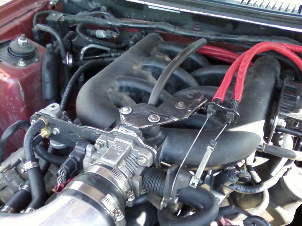 egr delete problems Forums at Modded Mustangs