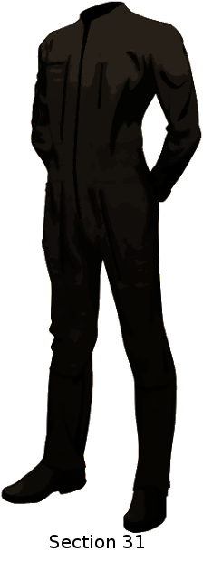section31.png