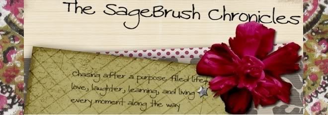 The SageBrush Chronicles