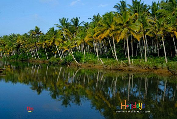 Estuary Island