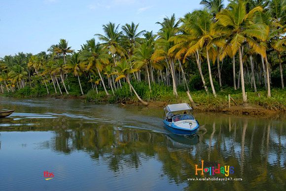 Estuary Island