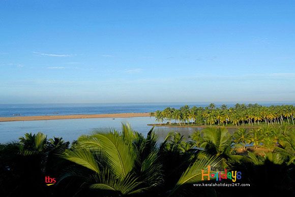 Estuary Island