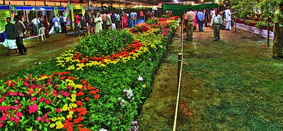 Cochin Flower Show