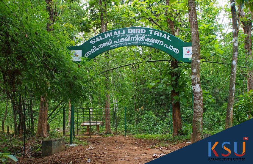 Thattekad Bird Sanctuary