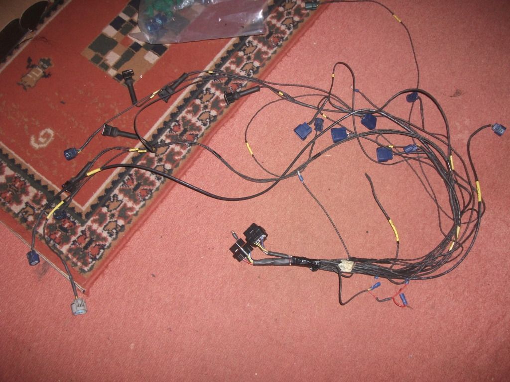 DSCF3608.jpg