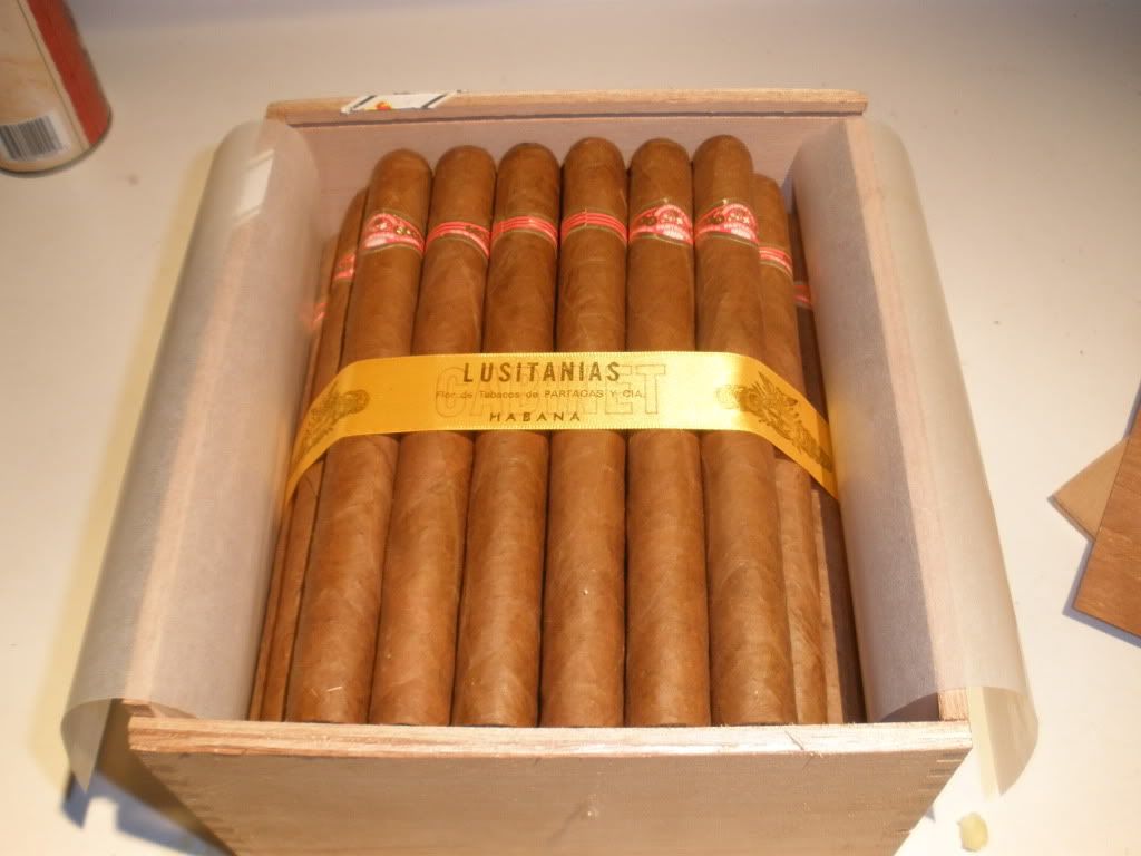 Lusitanias08005.jpg