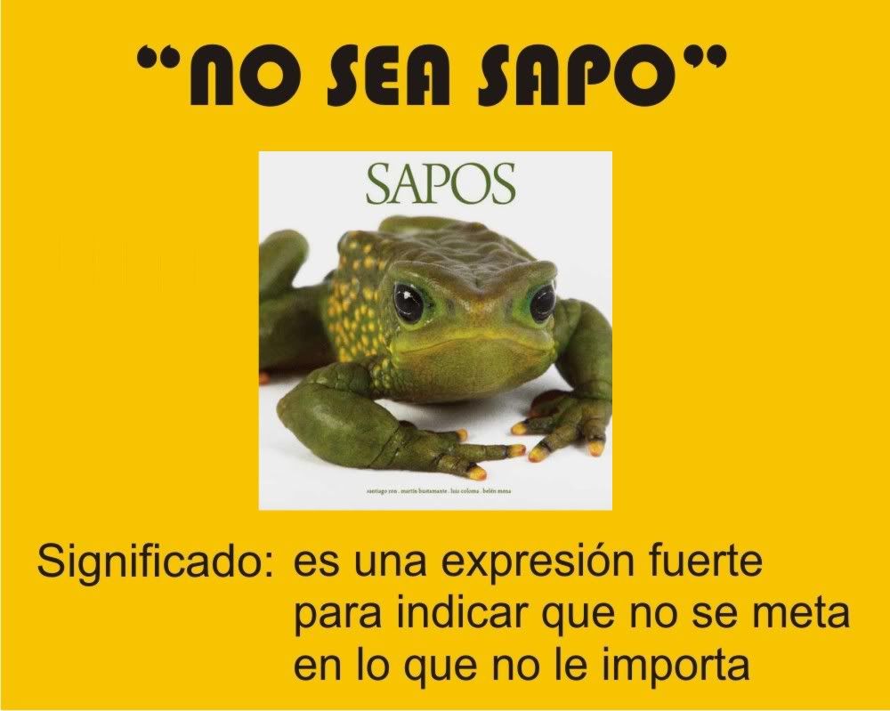 Chiste Chiste