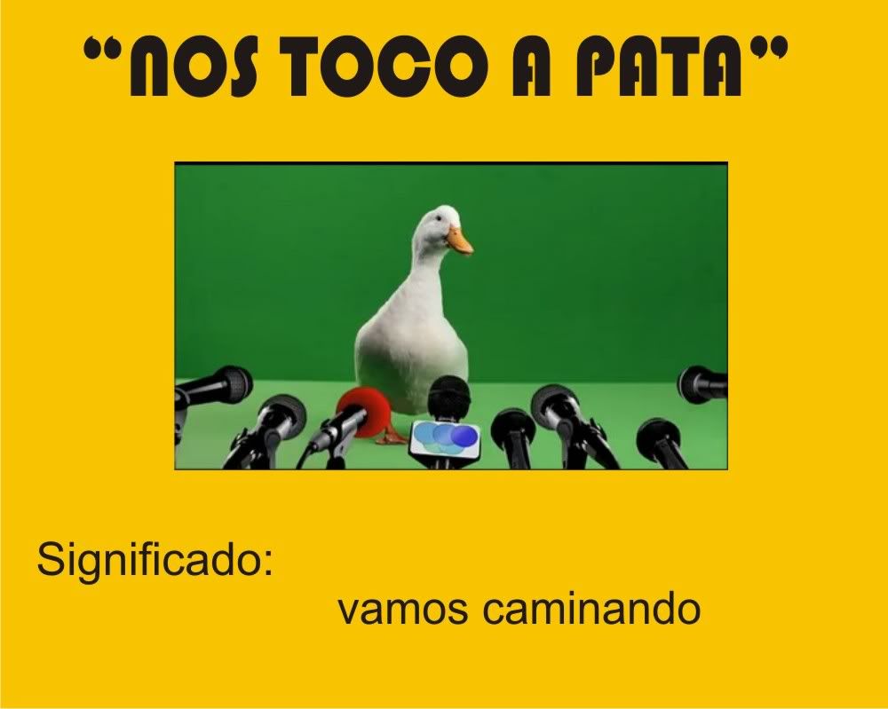 Colombia y sus expresiones Colombia y sus expresiones