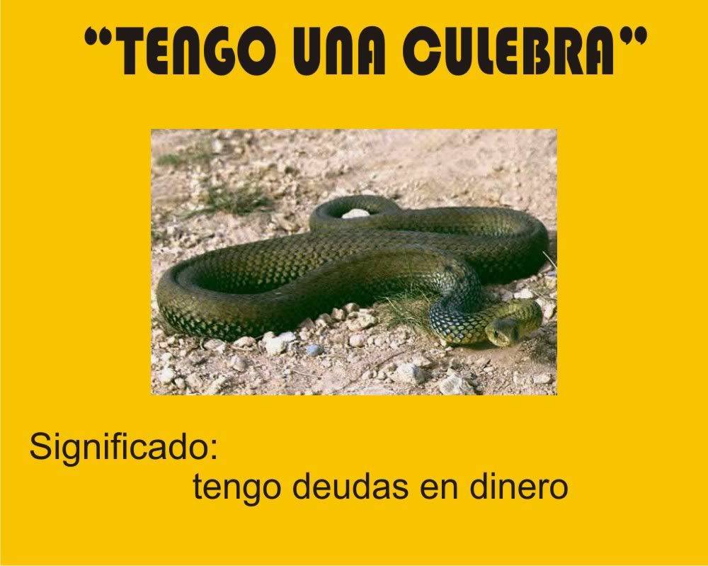 frases frases