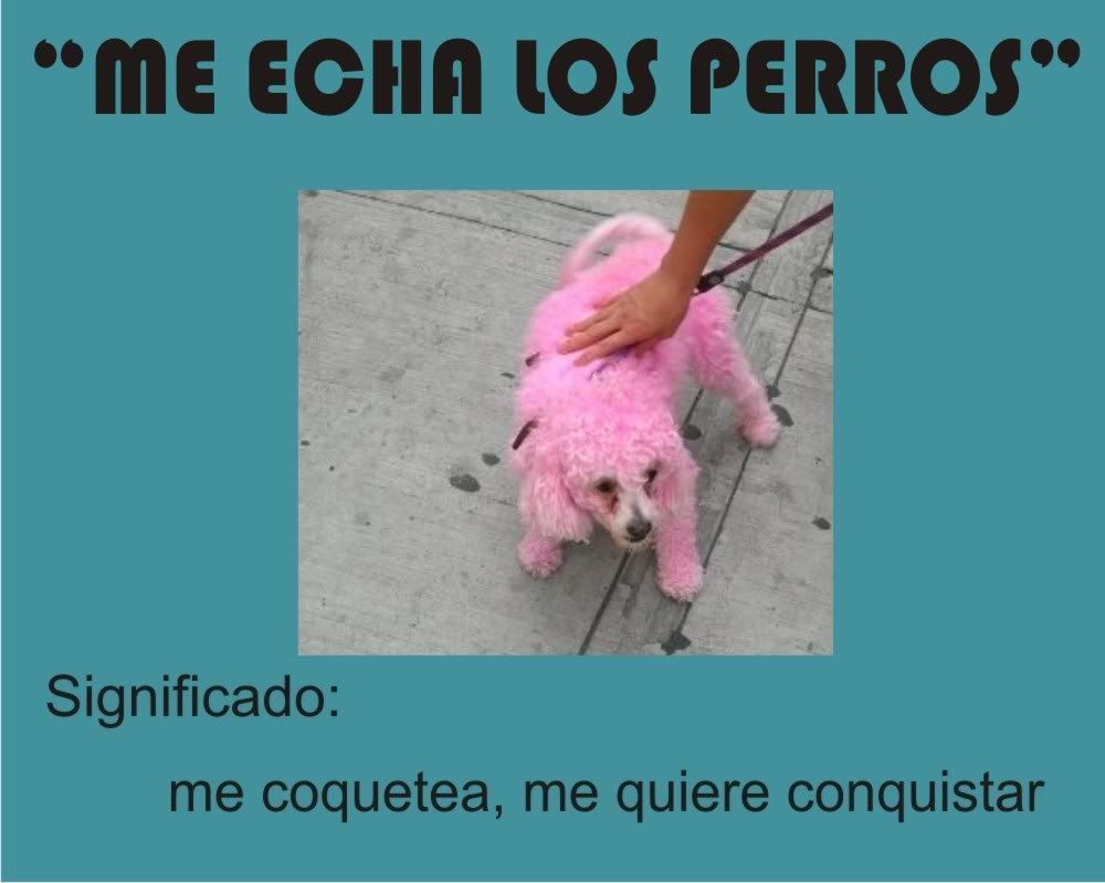 frases frases