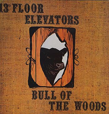 13th Floor Elevators - Bull Of The Woods