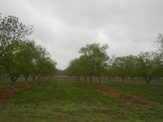 SOTWBBSApril2012020.jpg