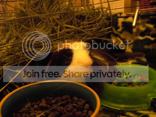 PICT6234.jpg