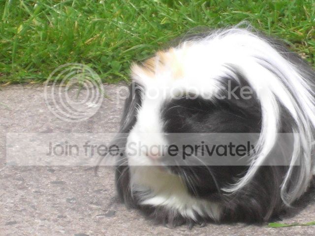 PICT6473_zpse1b988d3.jpg