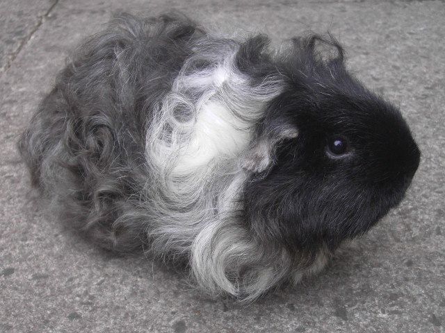 PICT6546.jpg