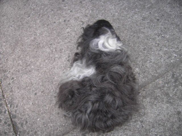 PICT6550.jpg