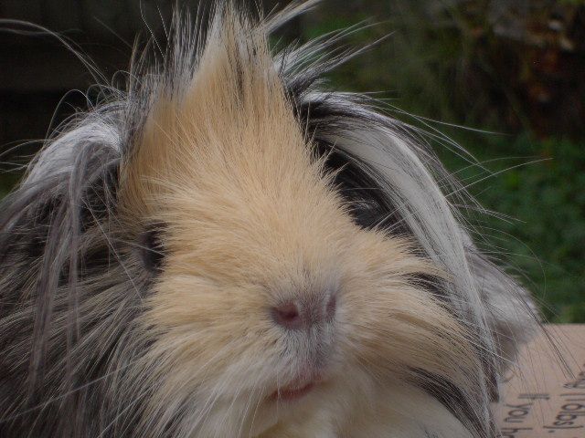 PICT6582.jpg