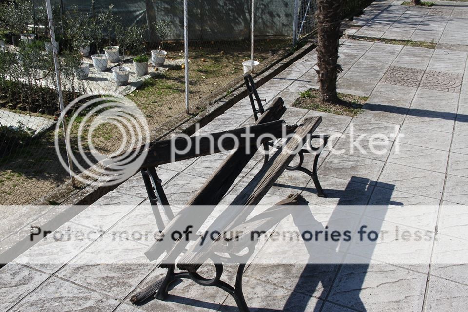  photo 17190519_1225832400805368_2082786365979762802_n_zpsis9g2pyj.jpg