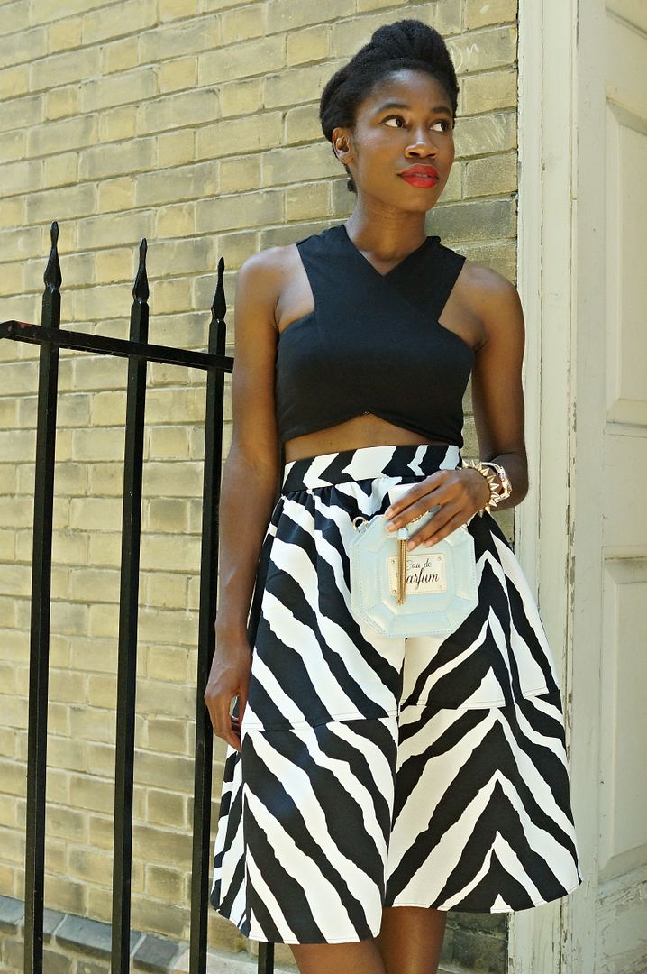 Express Zebra Skirt 