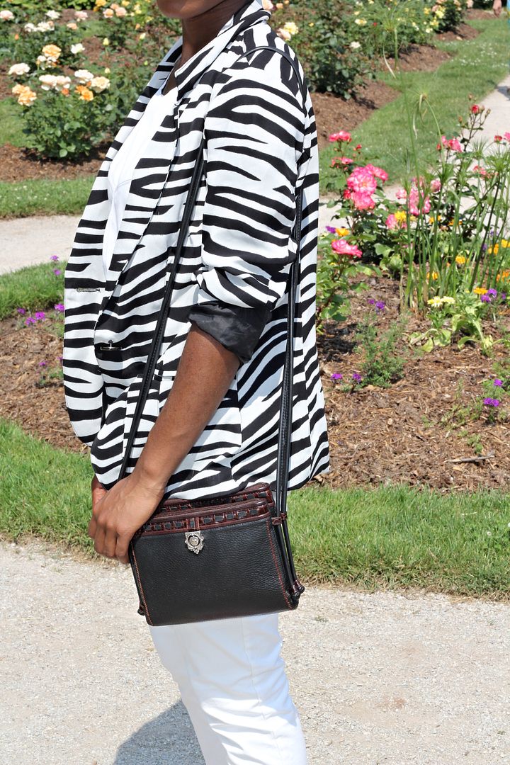 The Zebra Print Blazer, Black style blogger, black and white outfit