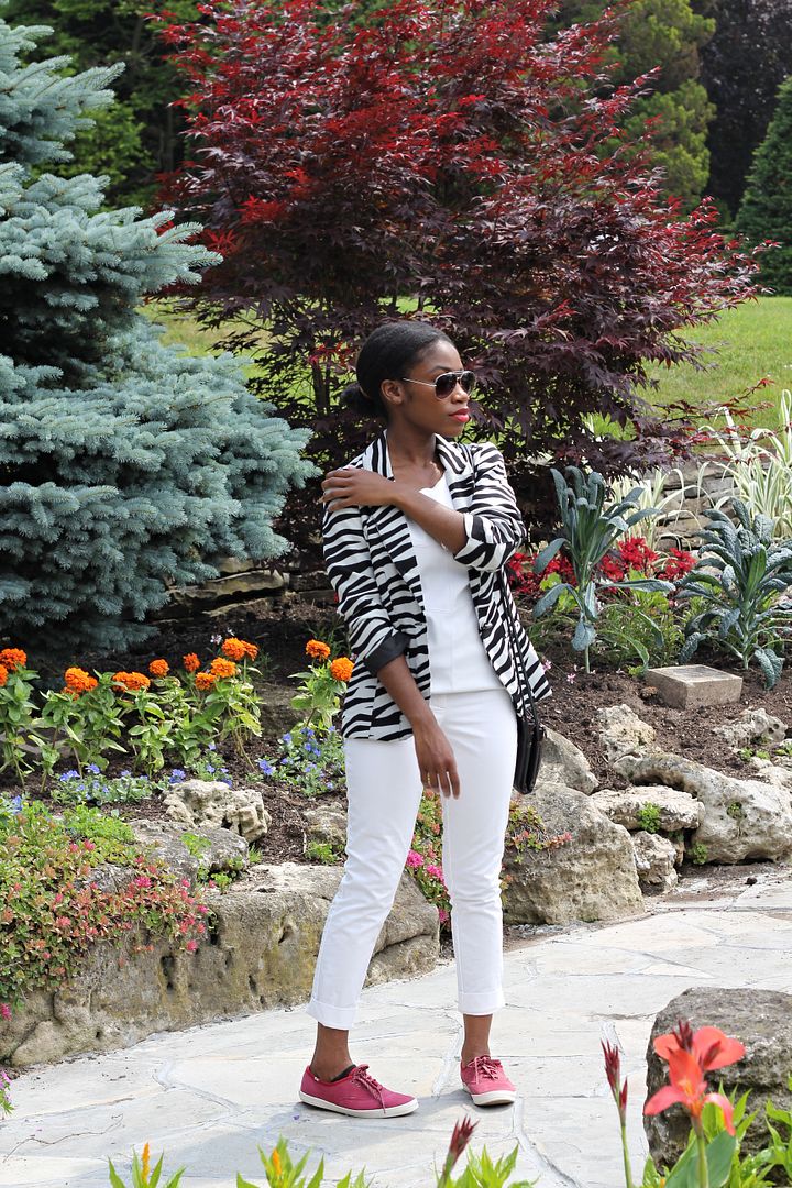 The Zebra Print Blazer, Black style blogger,black and white outfit